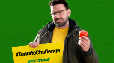 Greenpeace lanzó su guía práctica para cultivar tomate agroecológico