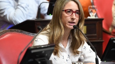 Flavia Delmonte pidió informes sobre la muerte de Alejandro Martinez en un calabozo de San Clemente del Tuyú