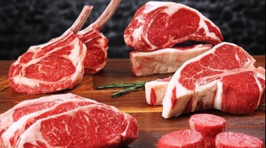Un relevamiento realizado en Capital y el Gran Buenos Aires destacó que los precios de la carne vacuna aumentaron un 10,8% en noviembre
