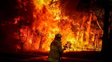 Aseguran que "con tanto material combustible en el suelo" va a ser casi imposible frenar los incendios y declararon la "emergencia ígnea"