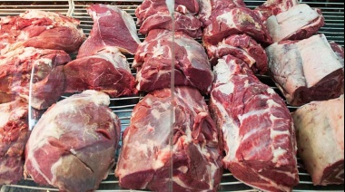 Reservaron para el mercado local los siete cortes parrilleros más populares