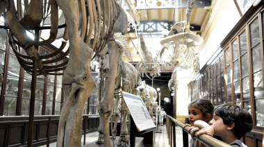 El Museo de Ciencias Naturales de La Plata reabrió sus puertas con visitas guiadas