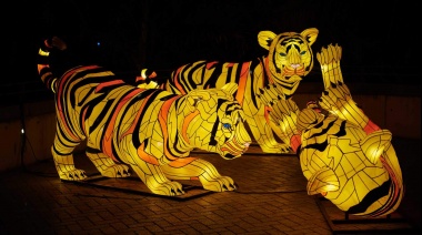 Este Año Nuevo Chino será el del Tigre de Agua: ¿cuáles son los meses con más suerte y mejores para el amor de cada signo del zodiaco?