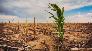 El gobierno bonaerense declaró el estado de emergencia y desastre agropecuario por sequía en el partido de Carmen de Patagones