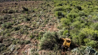Denunciaron que en Chaco fueron arrasadas más de 18 mil hectáreas durante 2021 a pesar de que un fallo provincial suspendió los desmontes