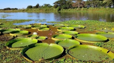 Humedales: conocerlos y reconocerlos para no perderlos