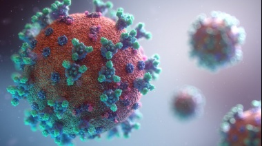 Investigadores identificaron nanoburbujas naturales que pueden bloquear la infección de amplias cepas del virus SARS-CoV-2