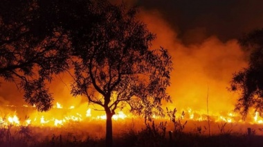 El gobernador Valdés señaló que llegaron bomberos de Brasil para ayudar con los incendios en Corrientes