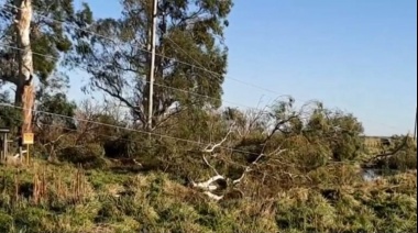 Un fuerte temporal derribó 12 kilómetros de torres eléctricas entre Daireaux y Henderson