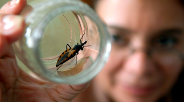 ¿Descubrieron la cura contra el Mal de Chagas? Optimismo ante "un avance alentador" de la Universidad Nacional de Cuyo y el Conicet