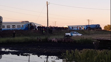 Descarriló un tren a la altura de la Estación Pourtalé en Olavarría