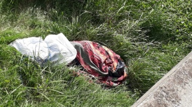 Encontraron el cuerpo de un hombre a la vera de la Autovía 2 e investigan las causas de su muerte