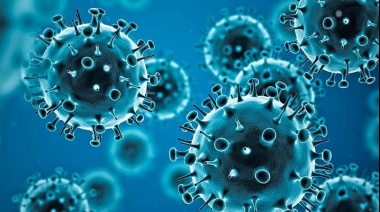 Un grupo de investigadores detalló cómo afecta el virus Sars-Cov-2 al sistema nervioso central