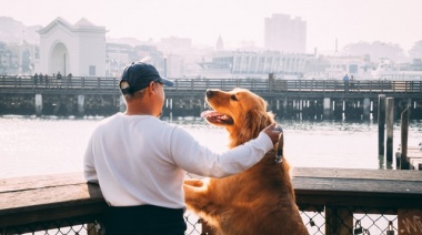 Una investigación concluyó que los perros y gatos sanos podrían transmitir a sus dueños bacterias resistentes a los antibióticos