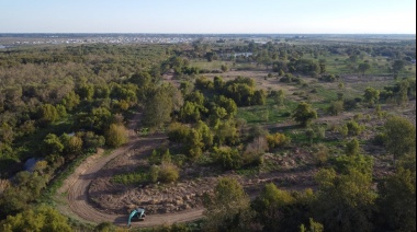 El Foro Regional en Defensa del Río de la Plata denunció "la depredación del bosque ribereño en Puerto Nizuc"