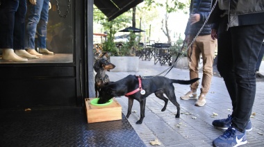 A partir de la idea de un grupo de jóvenes, fueron instalados bebederos para mascotas en distintos comercios de La Plata