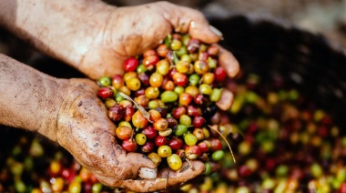 La agroindustria alcanzó el récord de u$s11.000 millones en exportaciones y ya comenzaron a ingresar los dólares por la soja