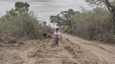La Sociedad Rural de Salta presiona para que permitan a productores arrasar con el 50 por ciento del monte que hay en sus campos