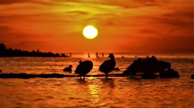 Argentina tiene un nuevo parque nacional de 475.477 hectáreas que incluye una amplia zona de humedales