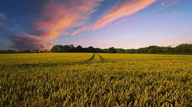 Fertilizadoras, Agtech y sustentabilidad