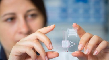 Metas y potencialidades de la Nanotecnología en Argentina