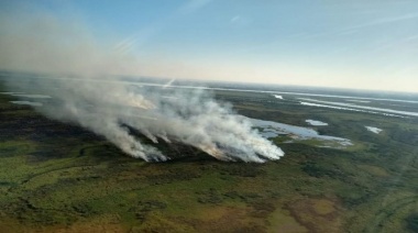 Delta del Paraná: ya hay focos en tres distritos bonaerenses