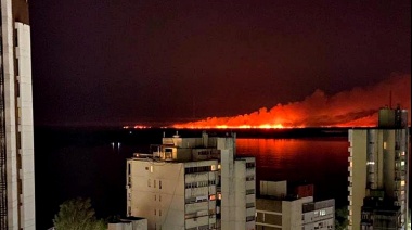 Enviaron tropas de las Fuerzas Armadas a combatir los incendios en el Delta del Paraná
