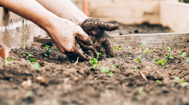 Lanzaron "Kokue", una app con todo lo que se necesita para crear huertas agroecológicas familiares