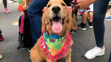 En La Plata habrá un desfile pero sin modelos profesionales ni caras lindas: las mascotas serán las figuras estelares