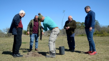 Recuperaron más de 100 árboles del monte nativo en el Parque Ecológico de La Plata