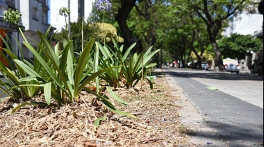A partir de los restos de la poda estacional en La Plata son elaborados chips orgánicos que los vecinos pueden obtener en el Parque Ecológico