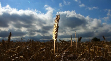 Pronostican que la primavera será más cálida y más seca en la provincia de Buenos Aires