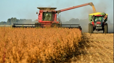 Lanzaron al mercado una variedad de soja de gran "adaptabilidad a las condiciones climáticas"