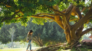 Protección de la naturaleza: una responsabilidad de todos