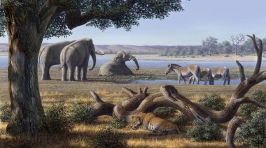Una investigación realizada en La Plata señala que la depredación humana hizo extinguir a muchos animales del Pleistoceno