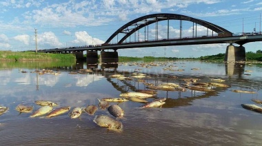 En el Río Salado la contaminación con metales y agroquímicos amenaza la supervivencia de la fauna acuática