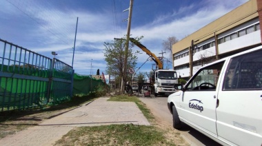 EDELAP colocó nuevas columnas de hormigón en los tendidos troncales de Berisso