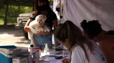 La campaña de vacunación veterinaria gratuita continuará esta semana en Gorina, Romero, Los Porteños y el casco urbano de La Plata