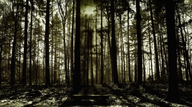 La reivindicación del cine de terror: revival de lo vintage, inversión de grandes empresas y el puntapié de las nuevas escuelas