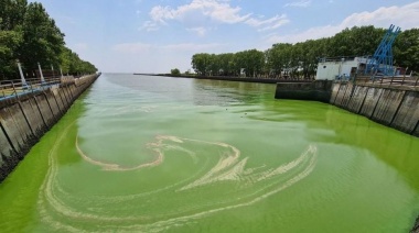 El Gobierno sigue de cerca el nivel de cianobacterias en las lagunas bonaerenses y la costa del Río de la Plata