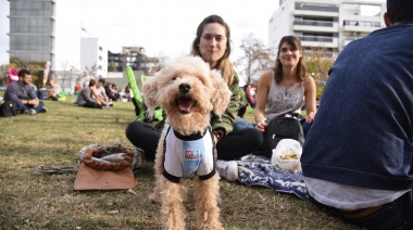 Este sábado 17 de diciembre harán una feria en La Plata para conectar familias con deseos de adoptar perros y gatos sin hogar