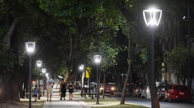 La Secretaría de Espacios Públicos de La Plata lleva adelante la instalación de nuevas columnas y farolas LED en la avenida 13