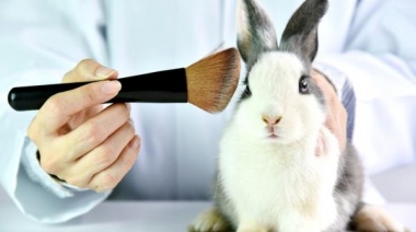 Investigadores del CONICET trabajan en el desarrollo de alternativas  que permitan el reemplazo de animales en ensayos de seguridad