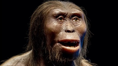 Gracias al árbol genealógico más grande de toda la historia quedan menos dudas sobre el origen de la humanidad: "No tiene un punto central"