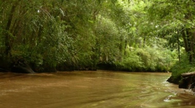 Ambientalistas tildaron de "confusa" la convocatoria de bosques nativos de la Provincia y se preguntaron "qué criterios se aplicarán"