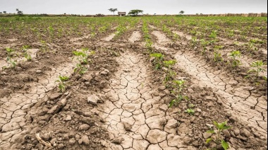 Ya son 67 los municipios bonaerenses incluidos en la emergencia agropecuaria declarada por el Ejecutivo provincial