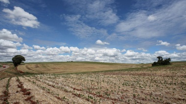 El Gobierno bonaerense anunció medidas de apoyo al agro afectado por la sequía