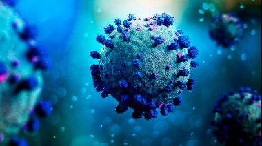 La OMS definió que el COVID-19 siga siendo una emergencia de salud pública de importancia internacional