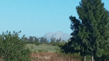 Los bomberos combaten un incendio en una zona del Parque Pereyra Iraola