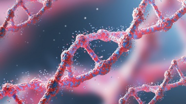 Investigadores argentinos trabajan en una base de datos genéticos que aporte información clave para indicadores de salud